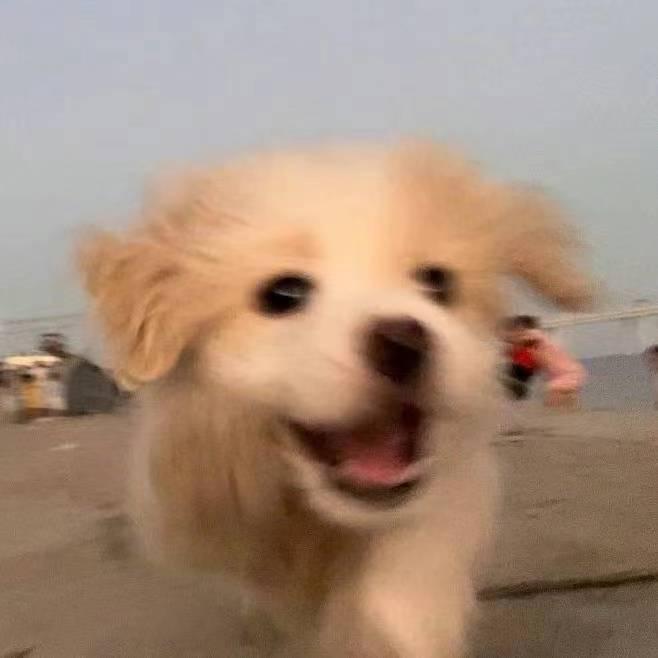 周且全 　　　　　　　　　  🪳