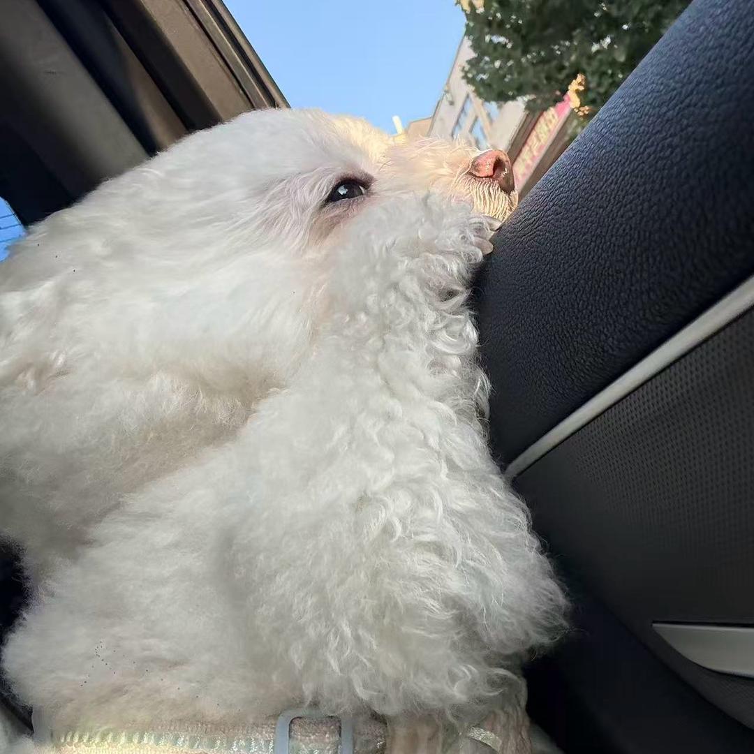 Colin方寸