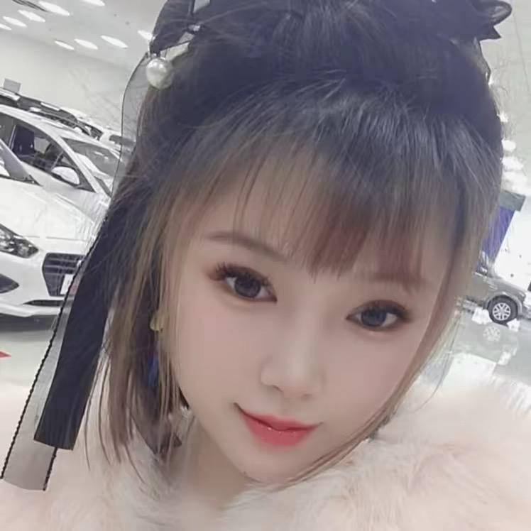 沈阳晨希汽车销售