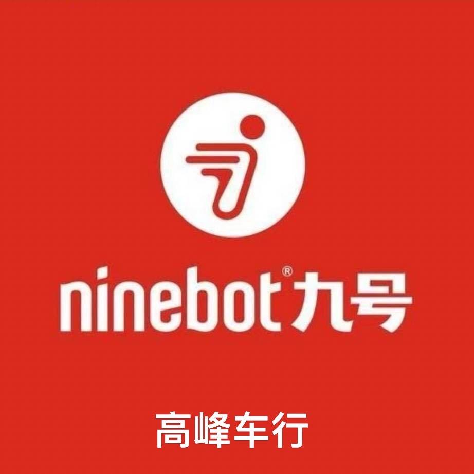 广东深圳龙华高峰九号店
