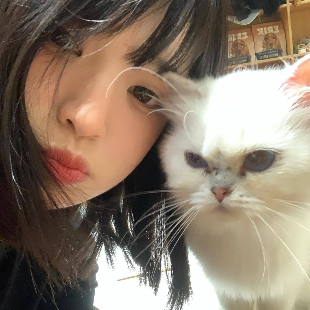 交给佳佳吧