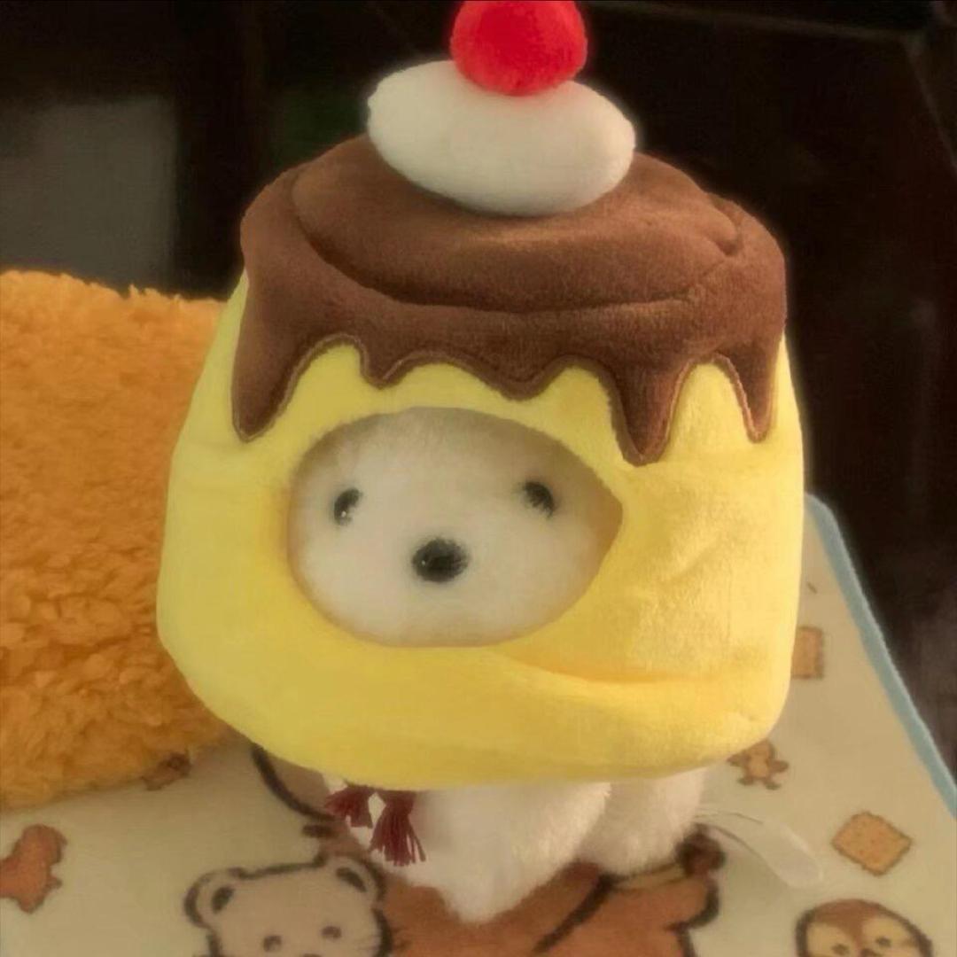 ˃̵ᴗ˂̵⸝⸝