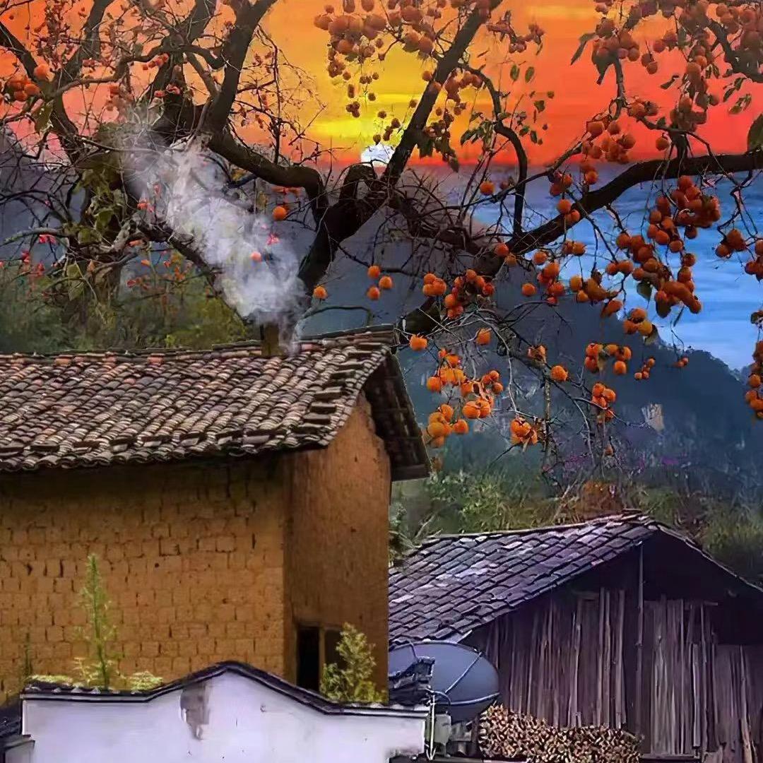 村里喇叭花🌹侯妈