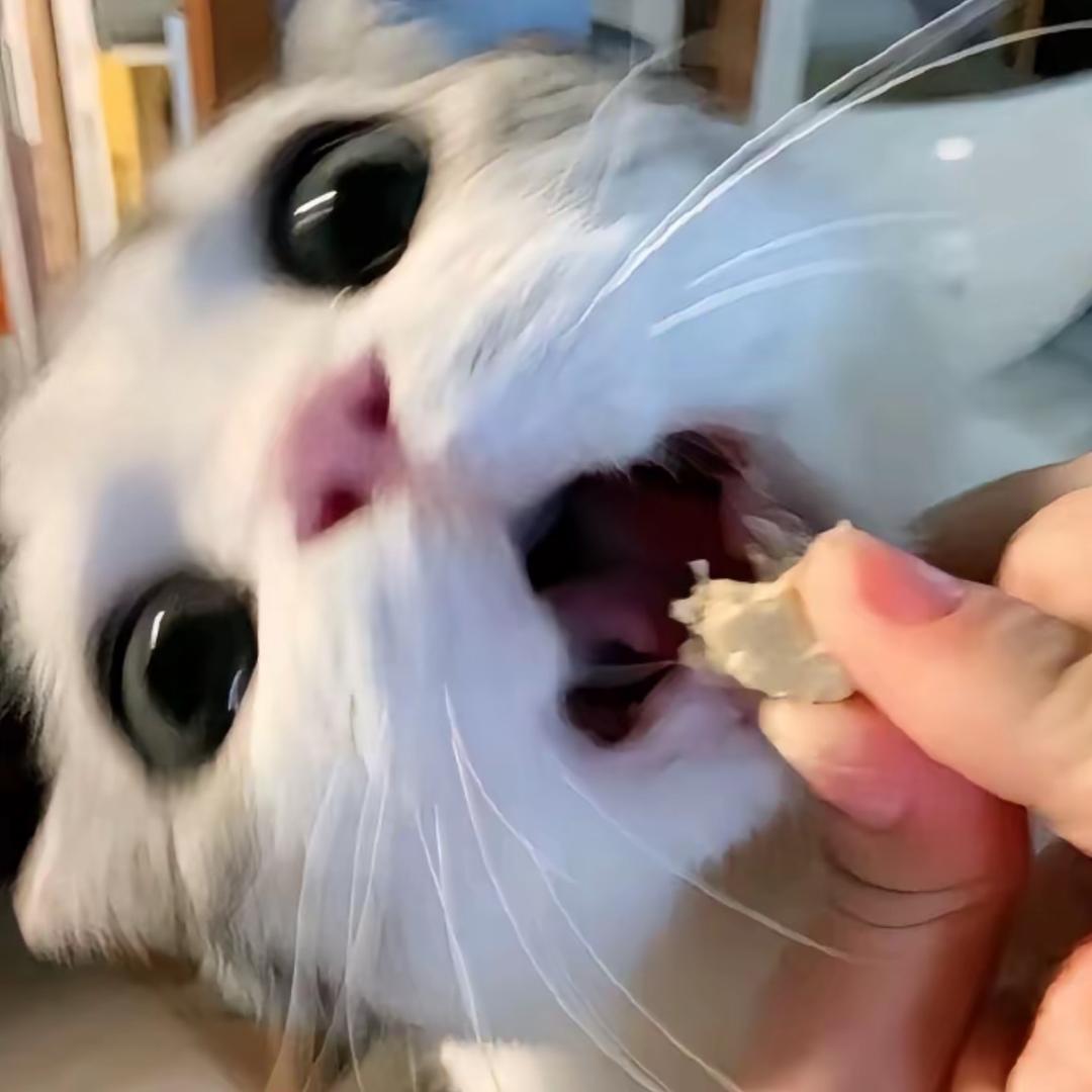 雯雅汤