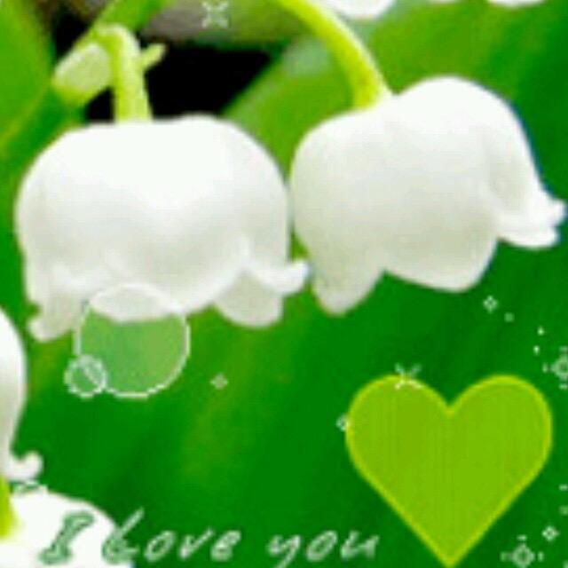 @💃萍姐❤️爱跳舞💍【板湖广场舞】