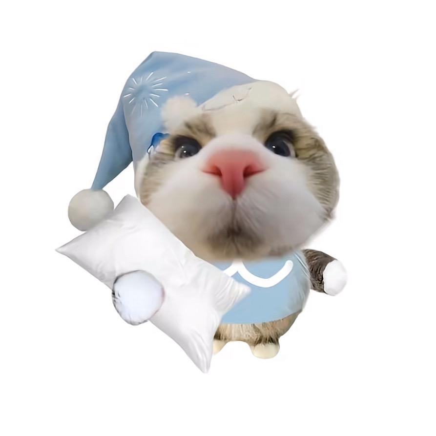 吃薯条不蘸番茄酱