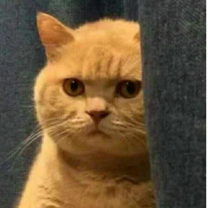 小猪佩奇聂嘟嘟