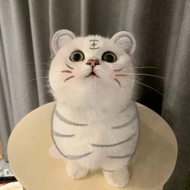 何必这样