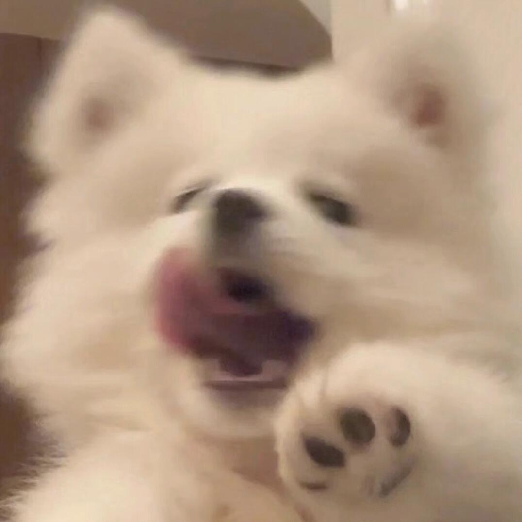 谁吃了我的软糖