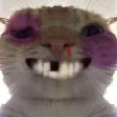 👀