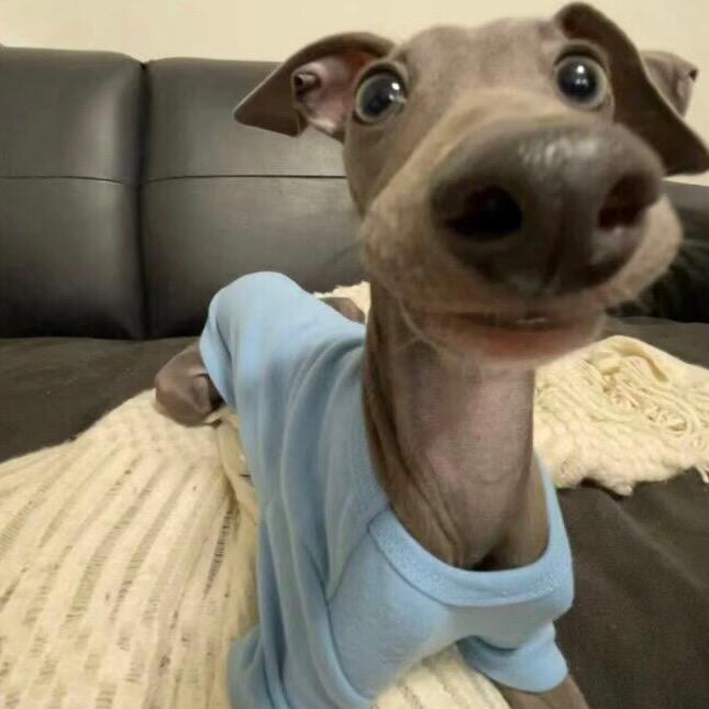 人夋