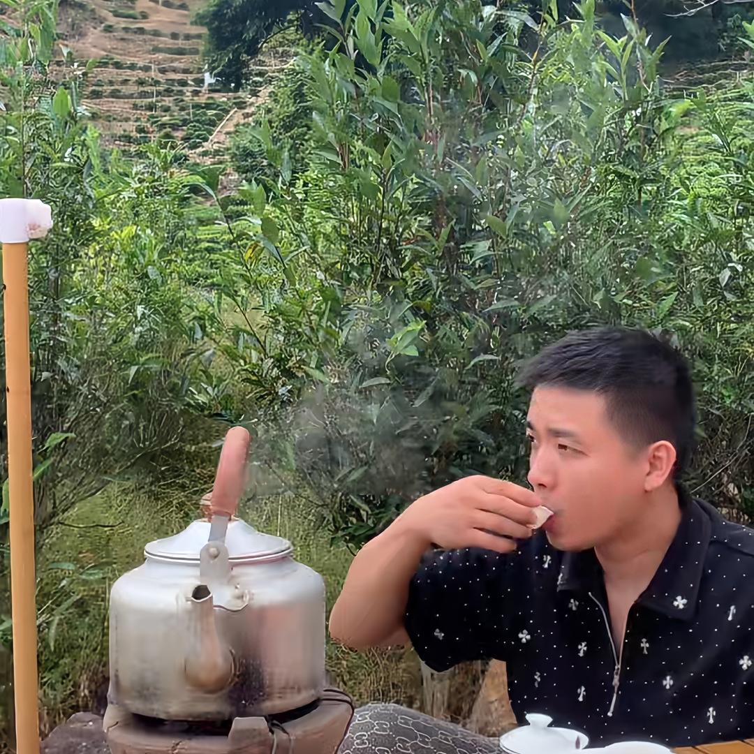 @肥弟单丛茶