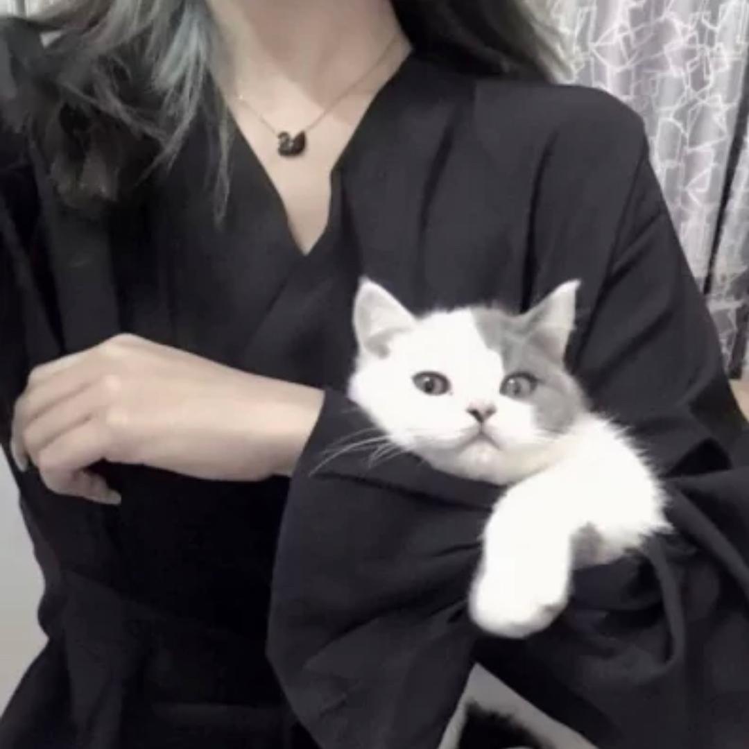 ✎﹏沐雨等风‴