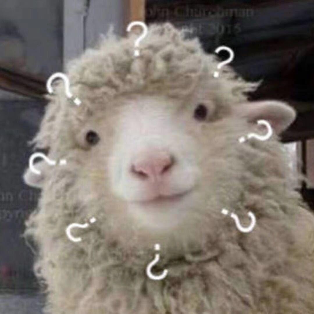 小羊肖恩