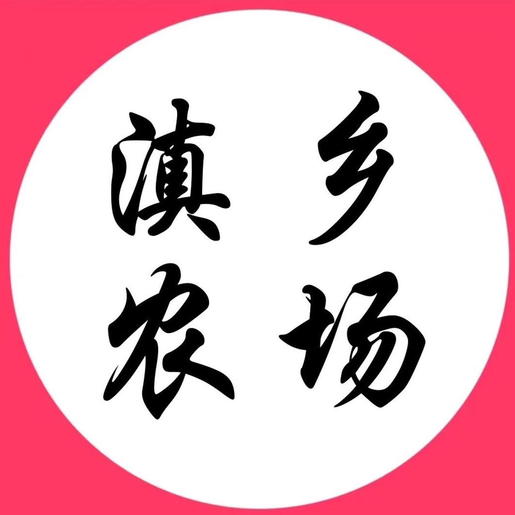 dianyuanwei