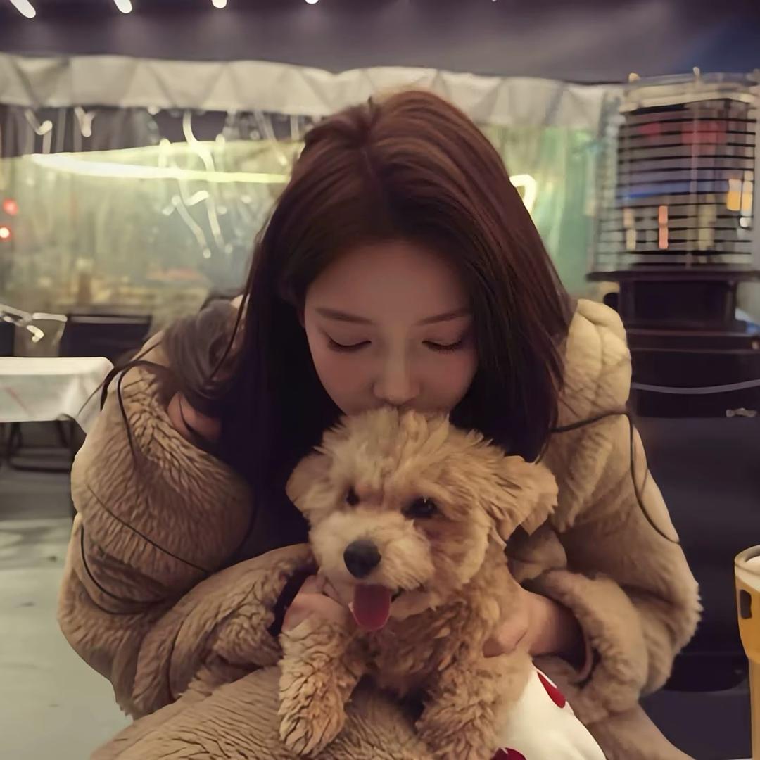 虚伪的陪伴.🫧