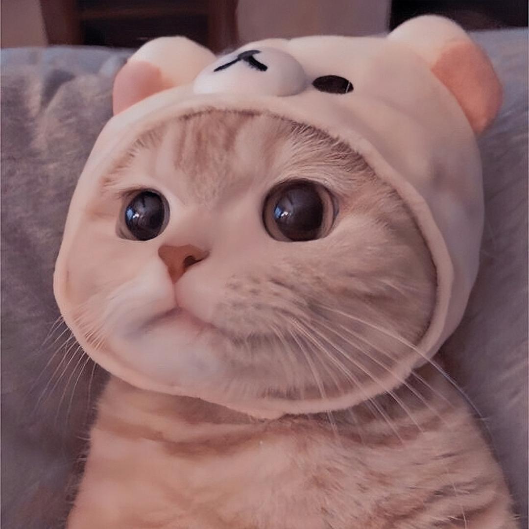 林凌