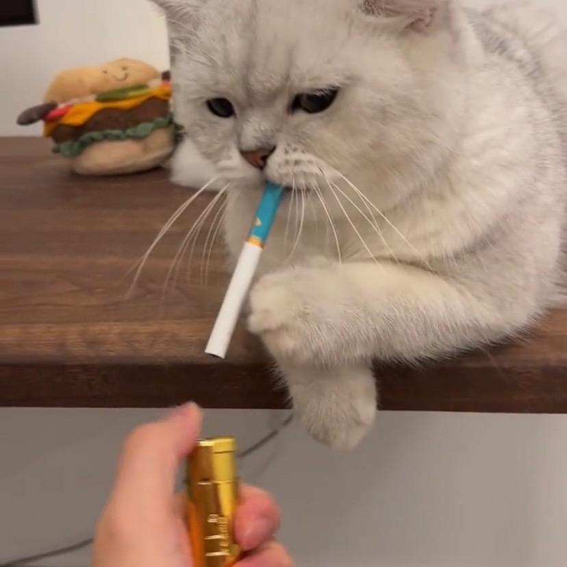 Q开得胜