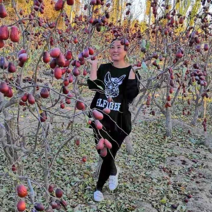 大姐　新疆特产（沙漠刺猬姐）