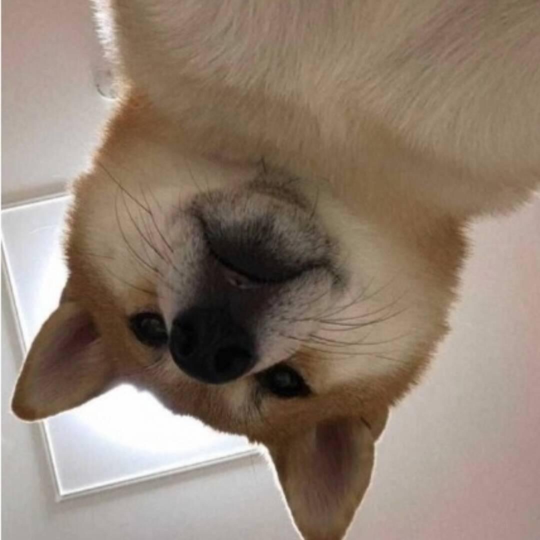 想笑