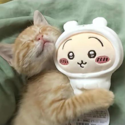 程