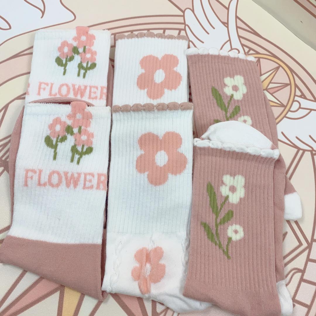 月月（袜子对对碰）
