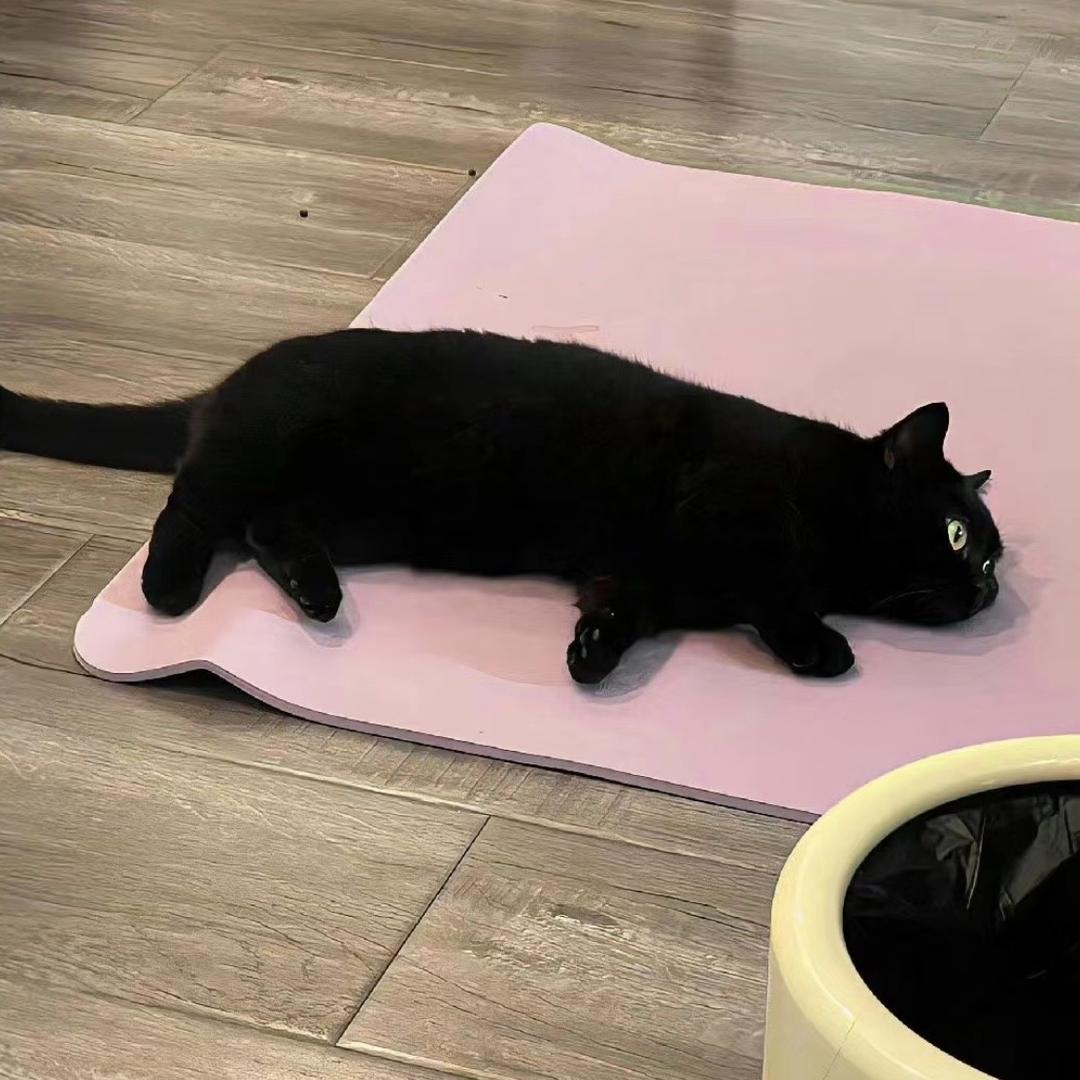 满山猴子我腚最红