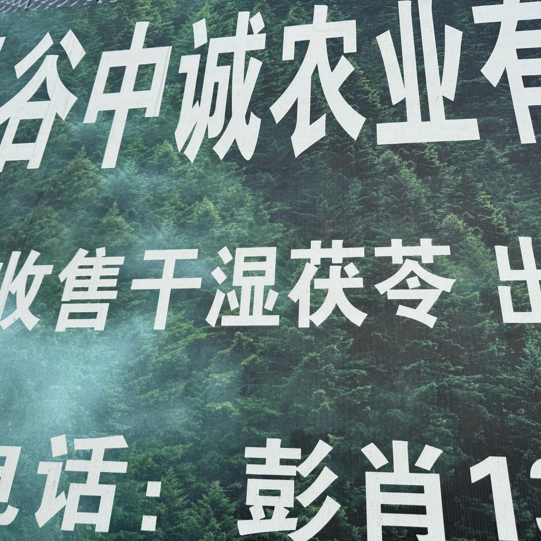忠恒菌种