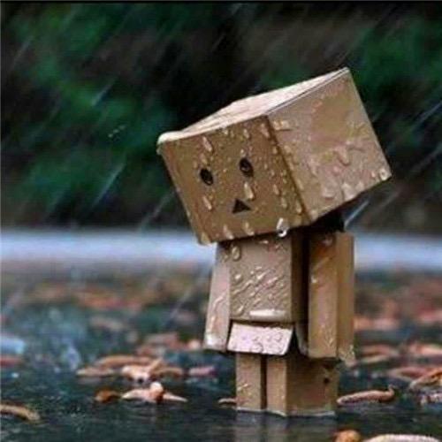 Z╲ 珎🎶暿༽🕷%X