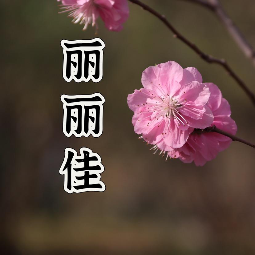 丽丽佳