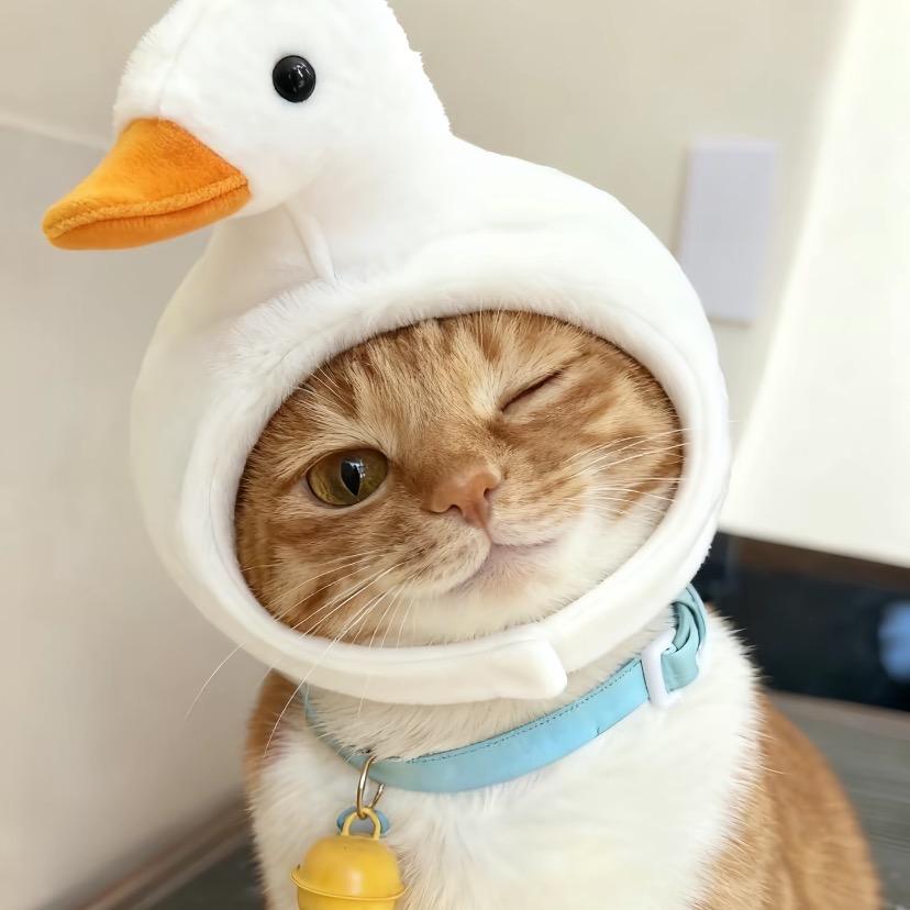 末冬寻渡