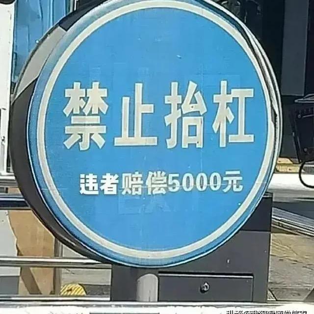 🎾🎾🎾🎾🎾🎾🎾 🎾