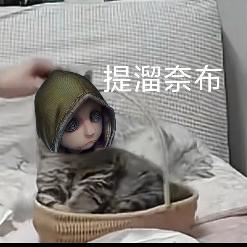 鱼肉姜丝//豆豆回家