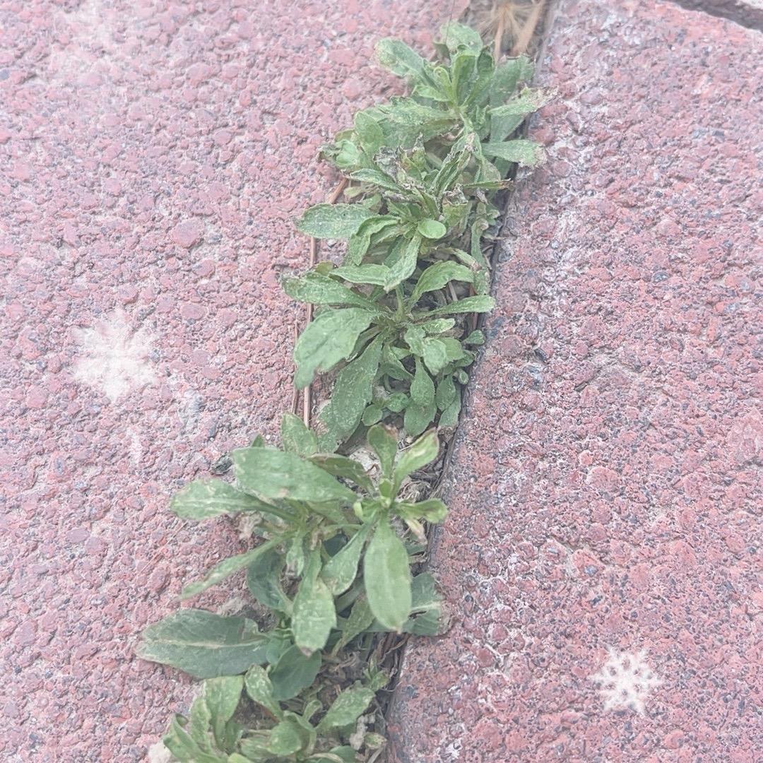 珠海总仓（新品上市）7号仓