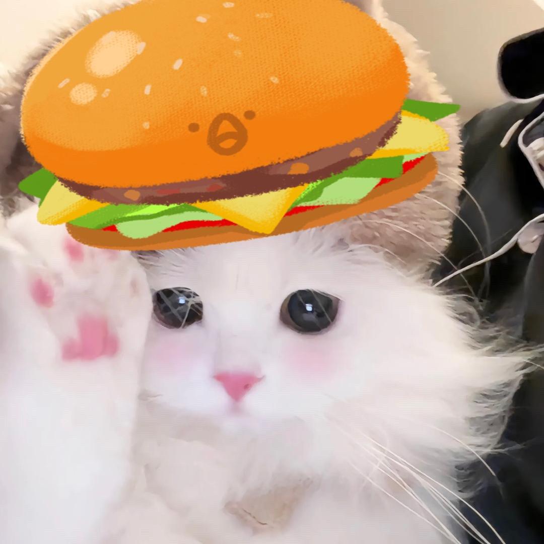 一个麦当劳z🍔