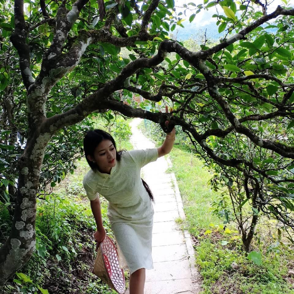 苦口师