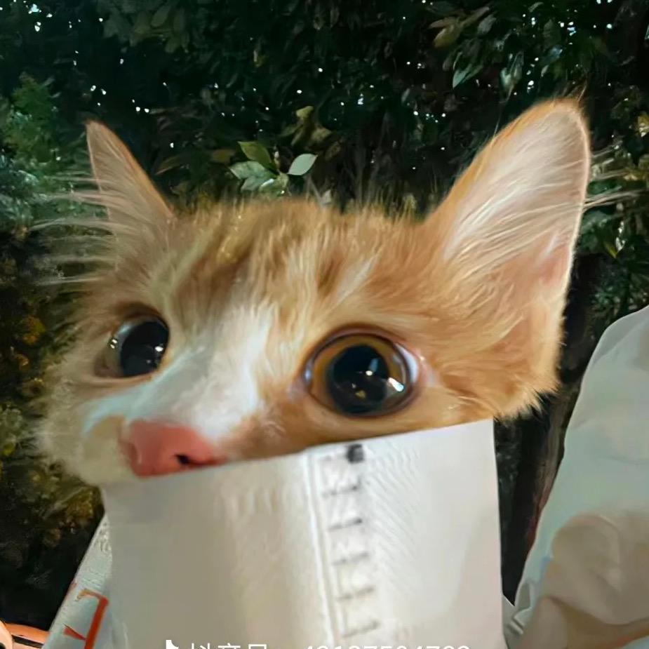 高冷的呆呆鱼🐟