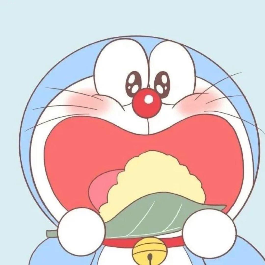肥龙龙龙。