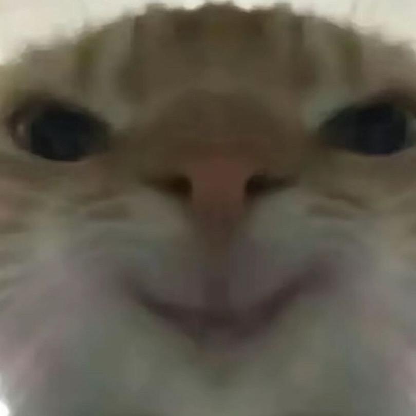 乱七八播