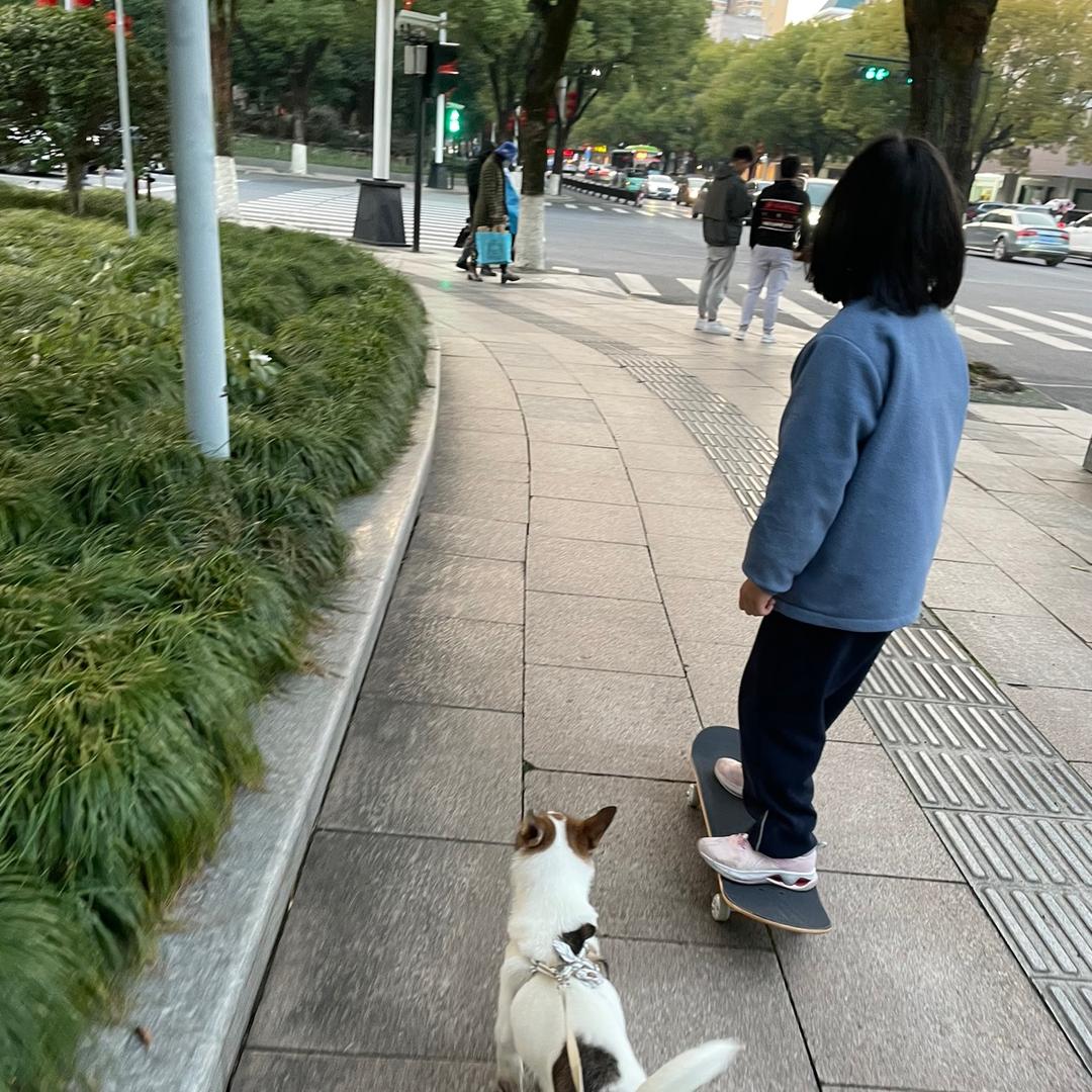 我在义乌教英语