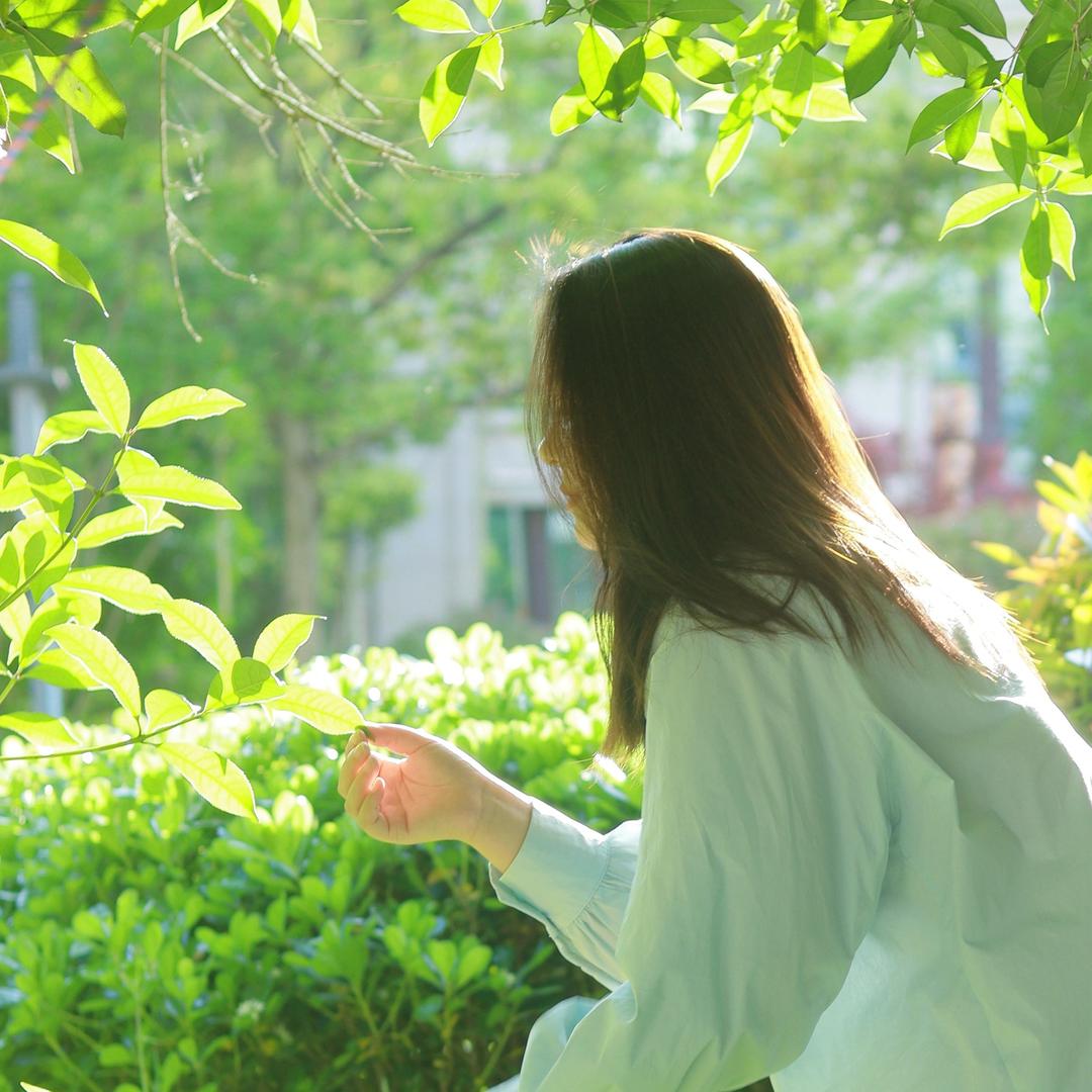 麦子