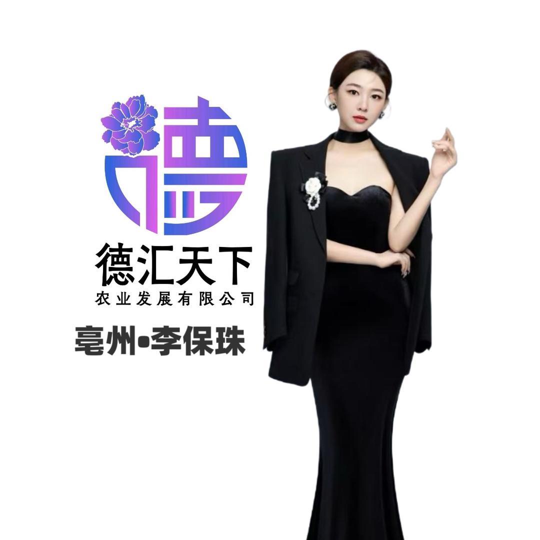 德汇天下—李保珠