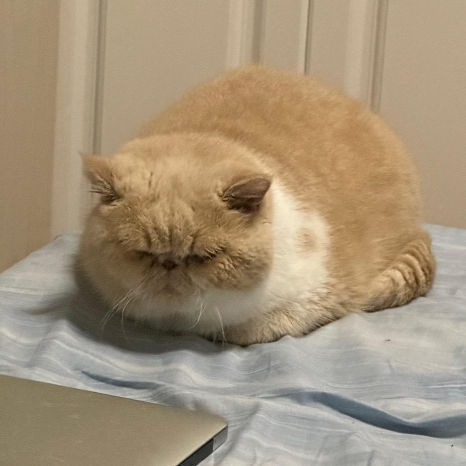 时光越老。心越淡