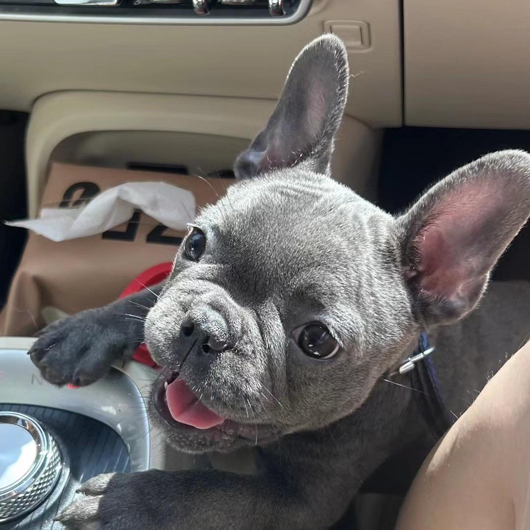 倾尽尘光暖流年