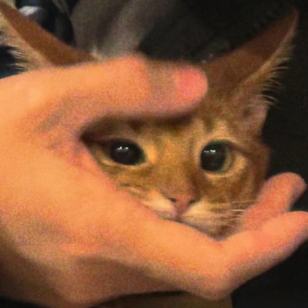 嘀嘀咕咕