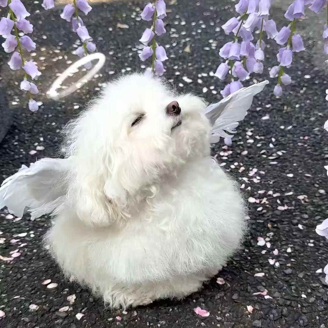 陪我–起看日落吧