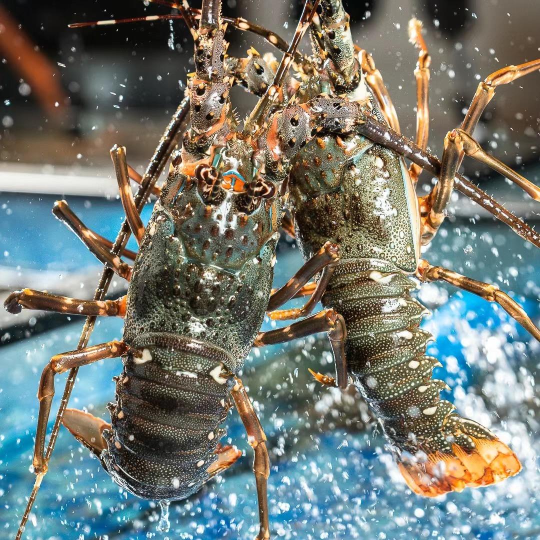 闽南特色美食店