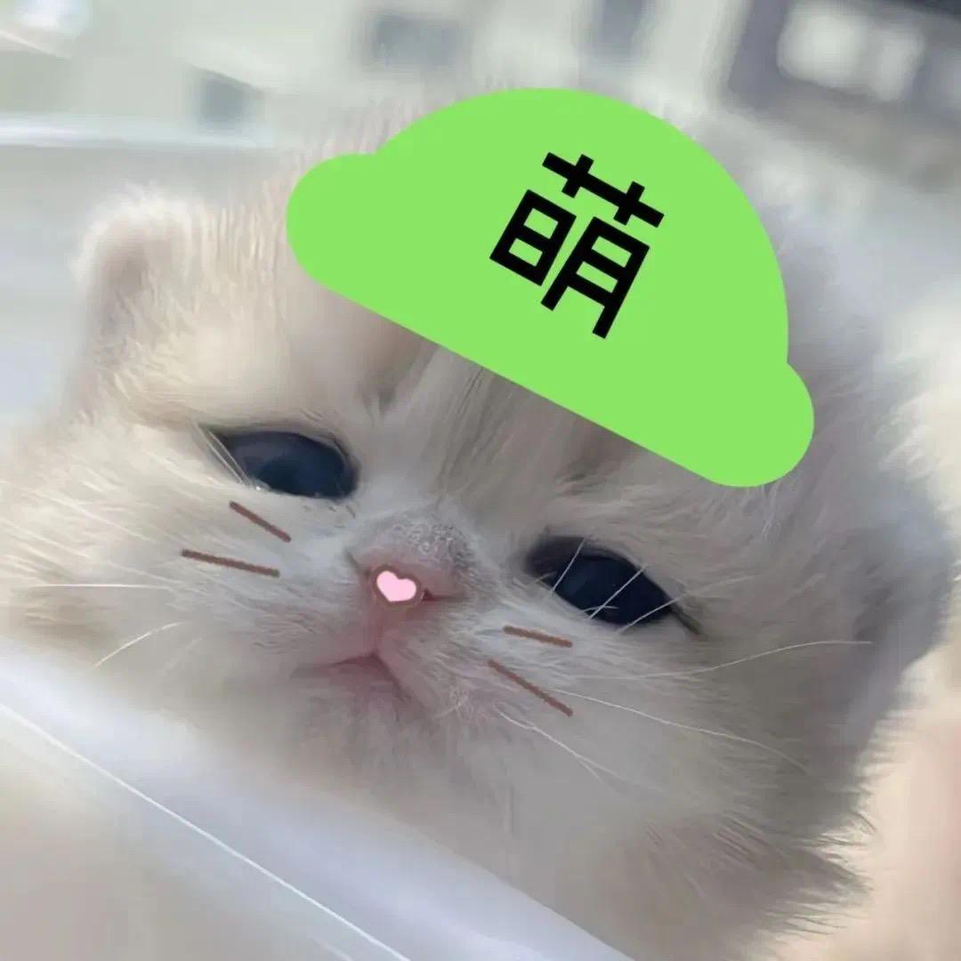 爱掉眼泪也是你的可爱之处