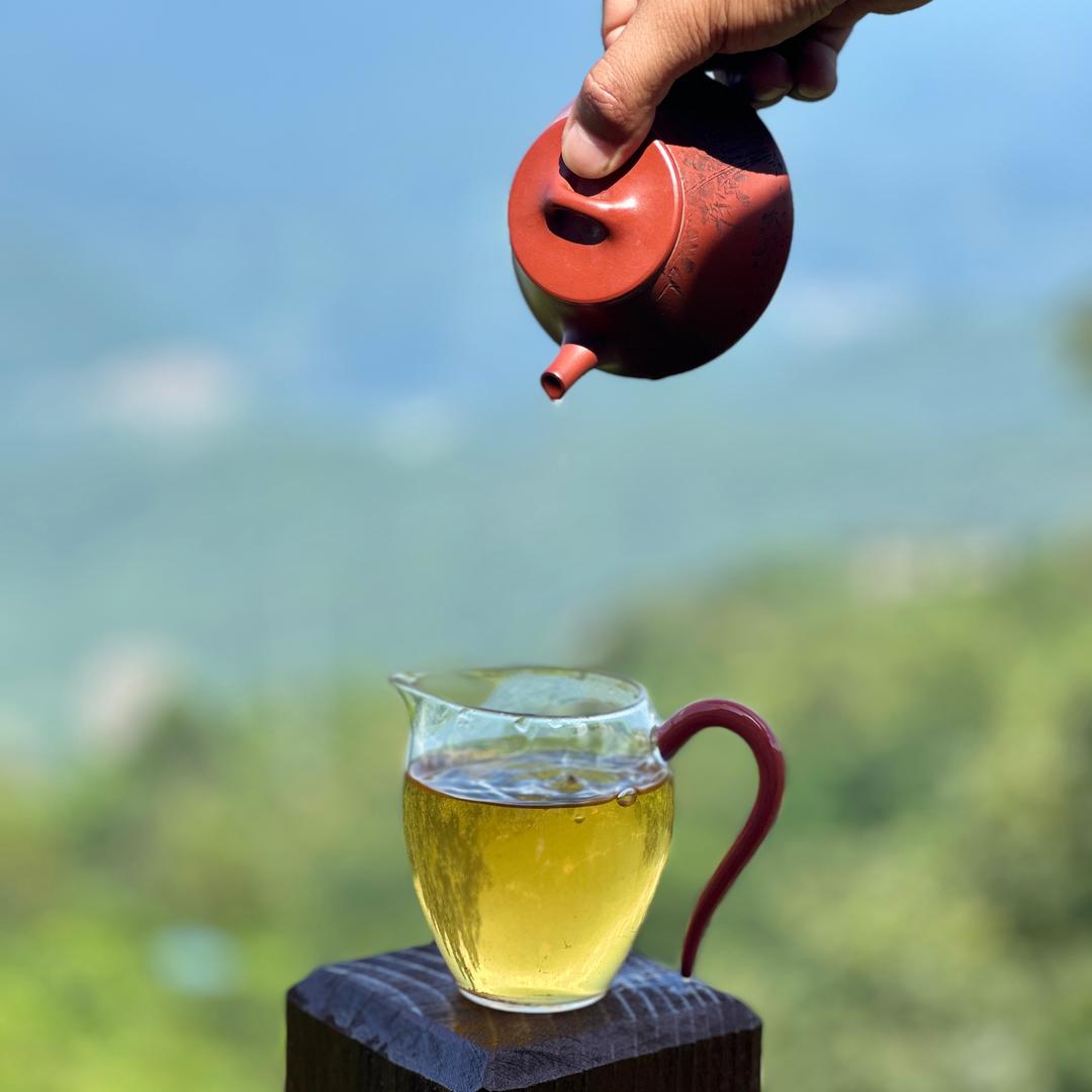 辉盛茶厂     段国辉