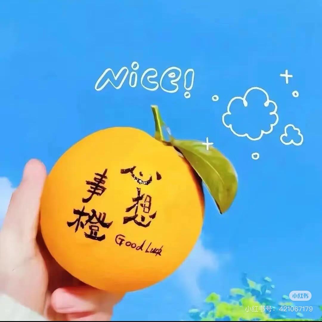 小熊零食日记